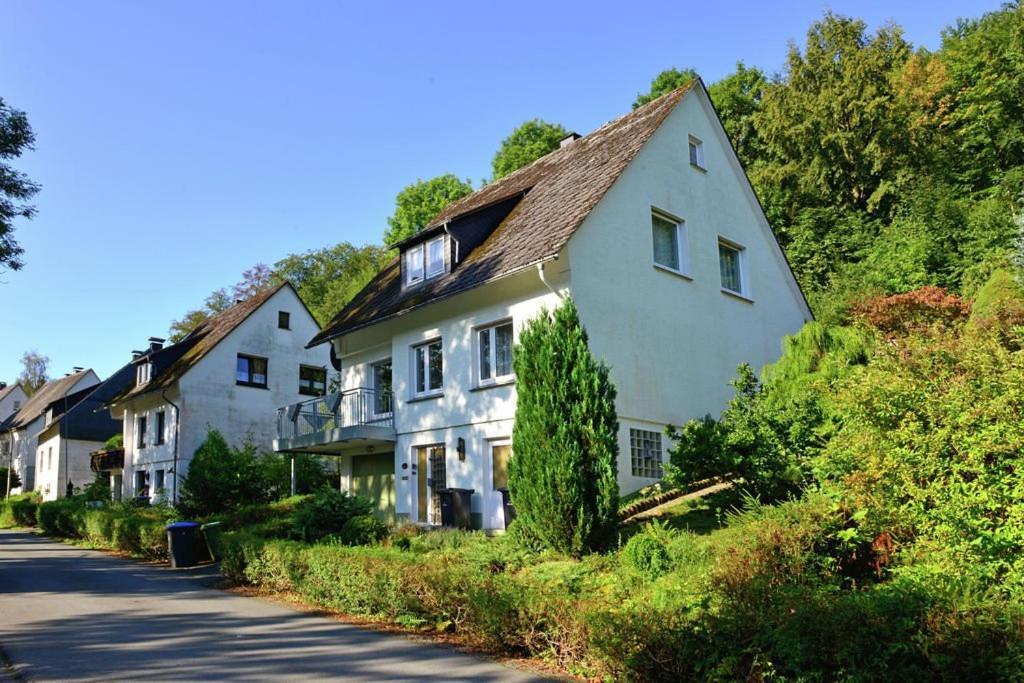 Die Hammerhuette Willingen  Esterno foto