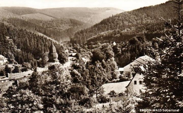 Die Hammerhuette Willingen  Esterno foto