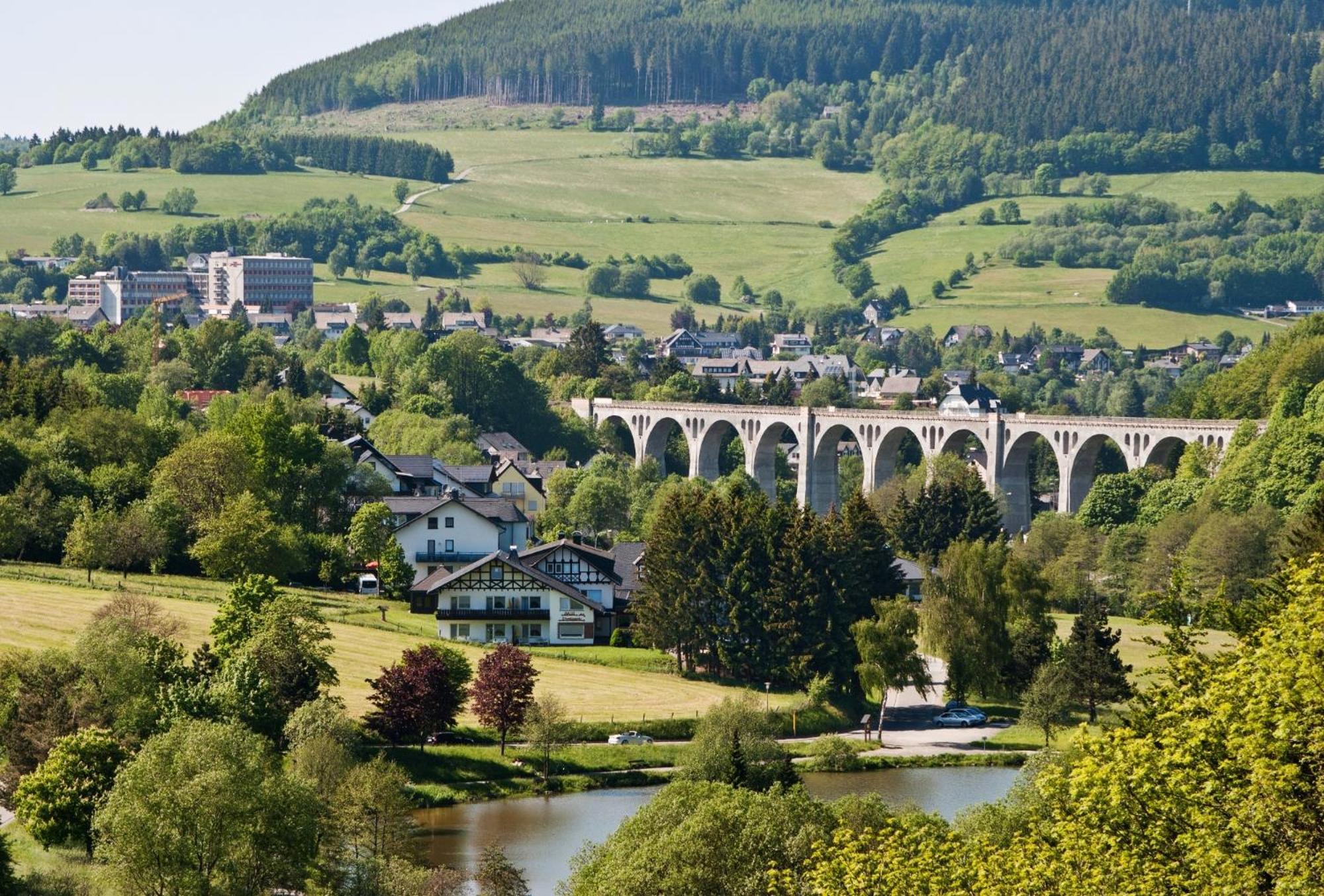 Die Hammerhuette Willingen  Esterno foto